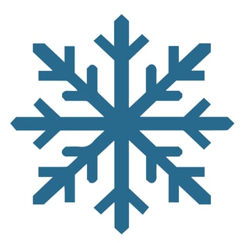 Isolated snowflake vector icon winter decorate ornament