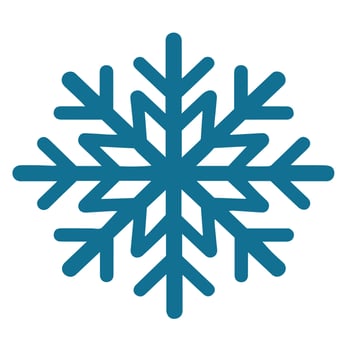 Isolated snowflake vector icon winter decorate ornament