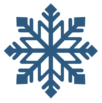 Isolated snowflake vector icon winter decorate ornament