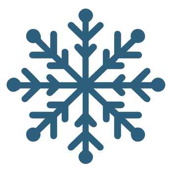 Isolated snowflake vector icon winter decorate ornament
