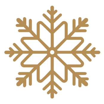 Isolated snowflake vector icon winter decorate ornament