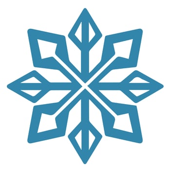 Isolated snowflake vector icon winter decorate ornament