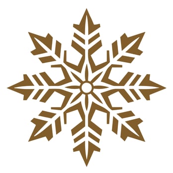 Isolated snowflake vector icon winter decorate ornament