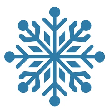 Isolated snowflake vector icon winter decorate ornament