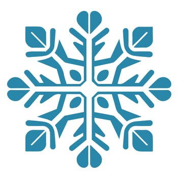 Isolated snowflake vector icon winter decorate ornament