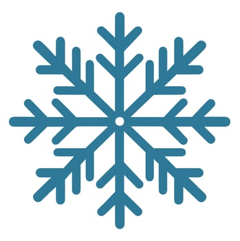 Isolated snowflake vector icon winter decorate ornament