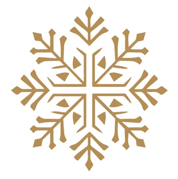 Isolated snowflake vector icon winter decorate ornament