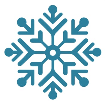 Isolated snowflake vector icon winter decorate ornament