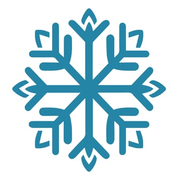Isolated snowflake vector icon winter decorate ornament