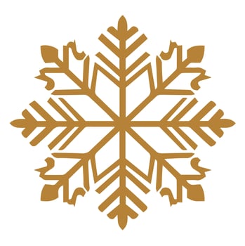 Isolated snowflake vector icon winter decorate ornament