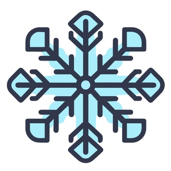Isolated snowflake vector icon winter decorate ornament