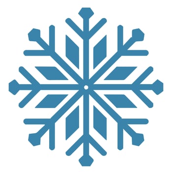 Isolated snowflake vector icon winter decorate ornament