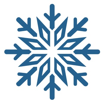 Isolated snowflake vector icon winter decorate ornament