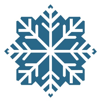 Isolated snowflake vector icon winter decorate ornament