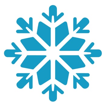 Isolated snowflake vector icon winter decorate ornament