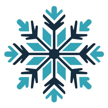 Isolated snowflake vector icon winter decorate ornament