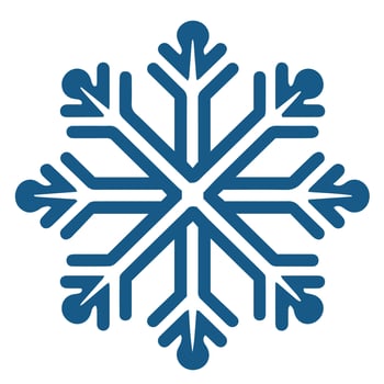 Isolated snowflake vector icon winter decorate ornament