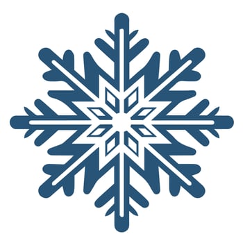 Isolated snowflake vector icon winter decorate ornament