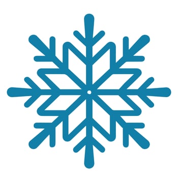 Isolated snowflake vector icon winter decorate ornament
