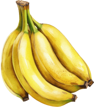 Banana Fruit Watercolor. d png