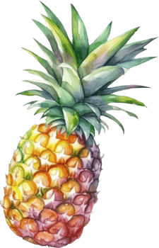 Pineapple Fruit Watercolor. d png