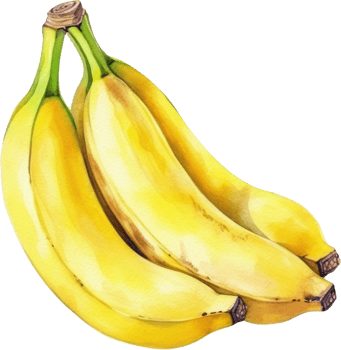 Banana Fruit Watercolor. d png
