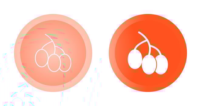 Food App Vector Icon