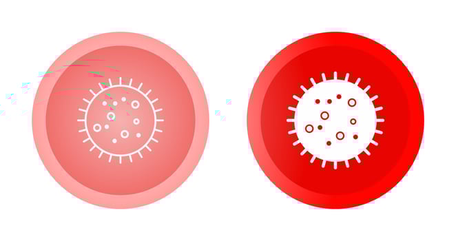 Bacteria in Slide Vector Icon