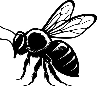 Honeybee - Black and White Isolated Icon - Vector illustration