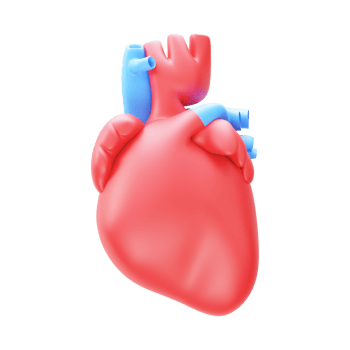 Blue And Red Human Heart Element In 3D Style. png