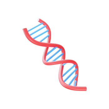 Blue And Red DNA Structure Element In 3D Style. png