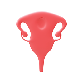 3D Render Of Ovary Element In Red Color. png
