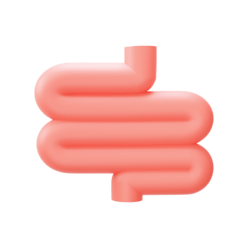 3D Style Intestine Red Element. png