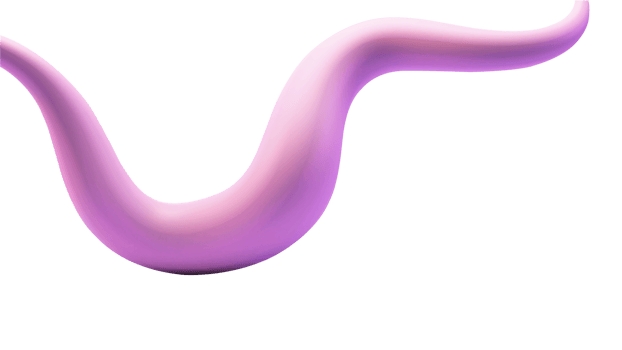 3D Render of Purple Smooth Wave on White Background. png