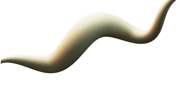 3D Render of Smooth Wave on White Background. png