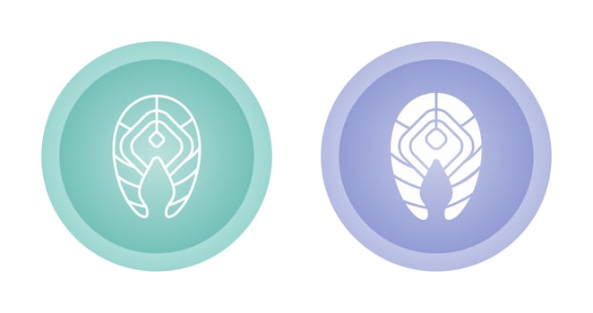 Salmon Vector Icon