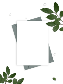 Blank Leaflets with Envelope, and Green Leaves on PNG Background.