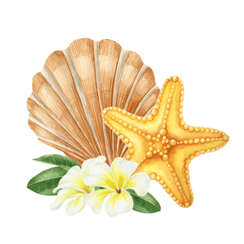 Tropical plumeria flowers,seashell, starfish. Exotic flowers and shells. Beach holidays. Watercolor illustration isolated. png