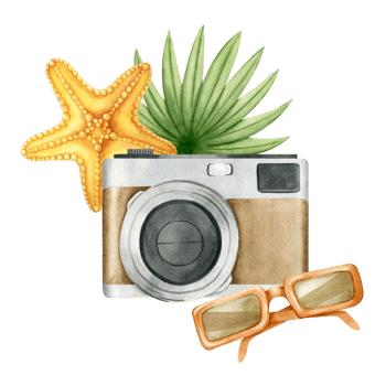 Brown vintage photo camera, orange starfish, sunglasses and palm leaf. Travel. Tourism. Summer vacation. Watercolor illustration. Isolated. For postcards, marketing, invitations, and scrapbooking. png