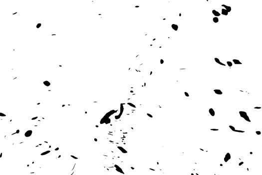 Grunge dots and points texture background. Abstract grainy overlay. PNG graphic illustration with transparent background.