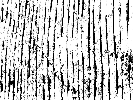 Grunge stripes and lines texture background. Abstract overlay. PNG graphic illustration with transparent background.