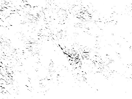Grunge dots and points texture background. Abstract grainy overlay. PNG graphic illustration with transparent background.