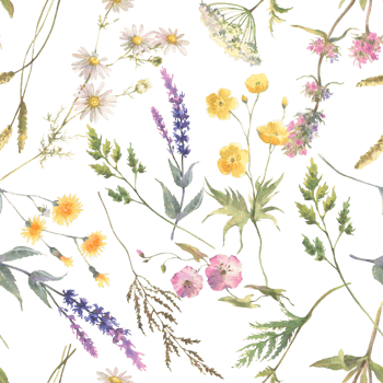 Floral watercolor pattern with flowers. Summer meadow. Delicate watercolor textile print. png