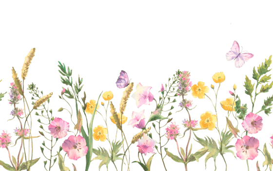 Seamless border with Herbs and wild flowers, leaves, butterflies. Botanical Illustration. Template with place for text png