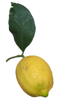 lemon fruit transparent PNG