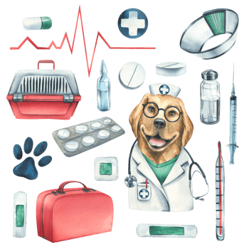 Veterinary set with doctor dog, pet carrier, medicines. Watercolor illustration, hand drawn. Isolated objects, for the design of clinics, hospitals, pharmacies, medicines png