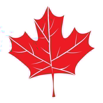 Canadian Maple Leaf, Hand Draw Illustration vector