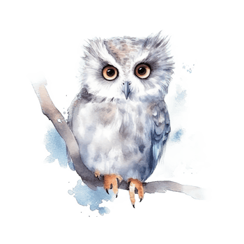 Cute watercolor owl. Illustration png