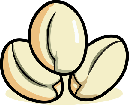 pumpkin seed png graphic clipart design