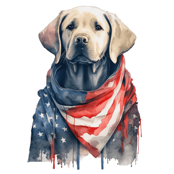 Watercolor Labrador dog, 4th of July element, png